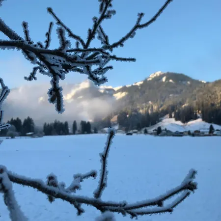 Talblick In Waengle Bei Penzion