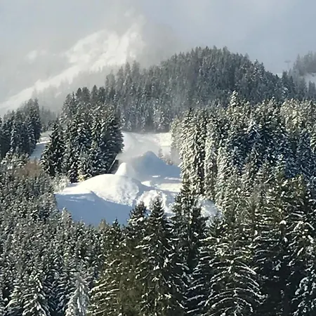 Talblick In Waengle Bei Guest house Reutte