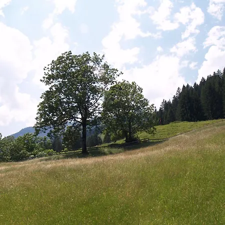 Penzion Talblick In Waengle Bei *